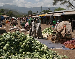 Marknaden i Arba Minch